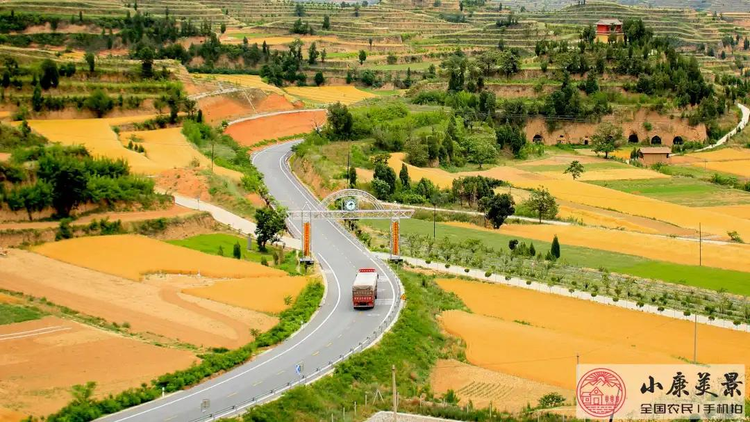 鄉(xiāng)村振興《2020年全國農(nóng)民“小康美景手機拍”攝影作品（第四輯）》《山東出臺鄉(xiāng)鎮(zhèn)政府工作條例》