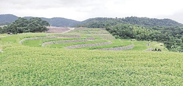 水利部辦公廳關于進一步優(yōu)化開發(fā)區(qū)內生產(chǎn)建設項目水土保持管理工作的意見