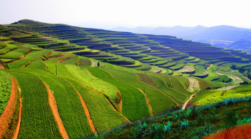 關于水土保持補償費等四項非稅收入劃轉稅務部門征收的通知